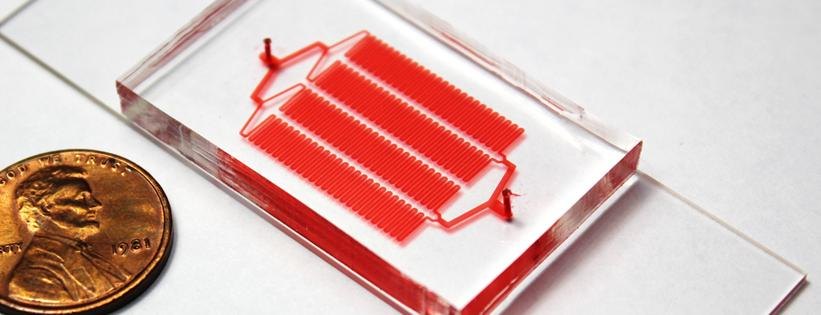 Lateral filter array microfluidic device filled with red dye, next to a penny for scale
